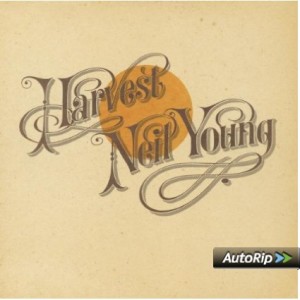 Neil Youngs bekanntestes Album.