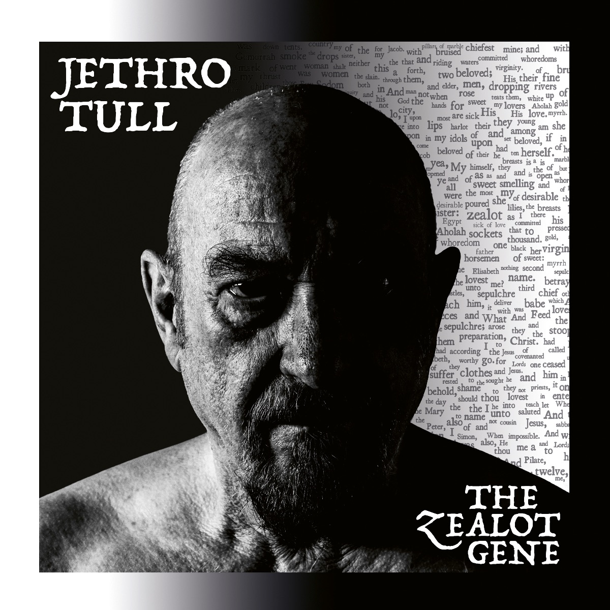 Beeindruckend: Jethro Tull „The Zealot Gene“